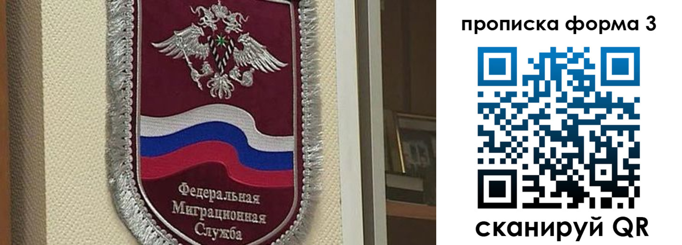 где прописаться в Фрязино